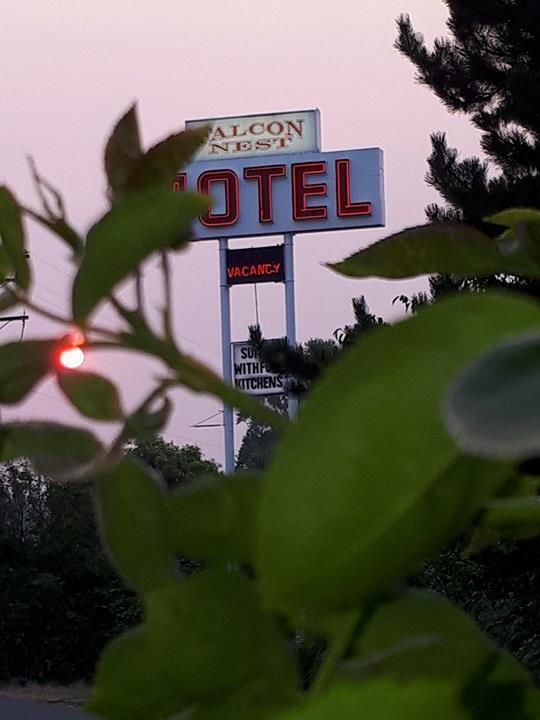 Motel Falcon Nest